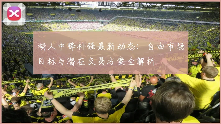 湖人中锋补强最新动态：自由市场目标与潜在交易方案全解析